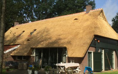 Project vernieuwing