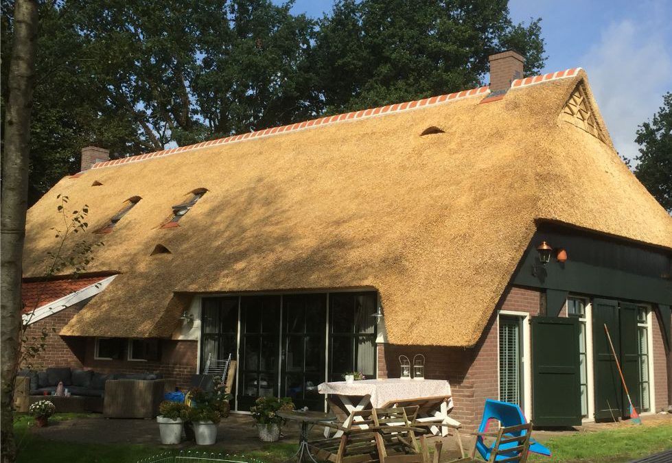 Project vernieuwing